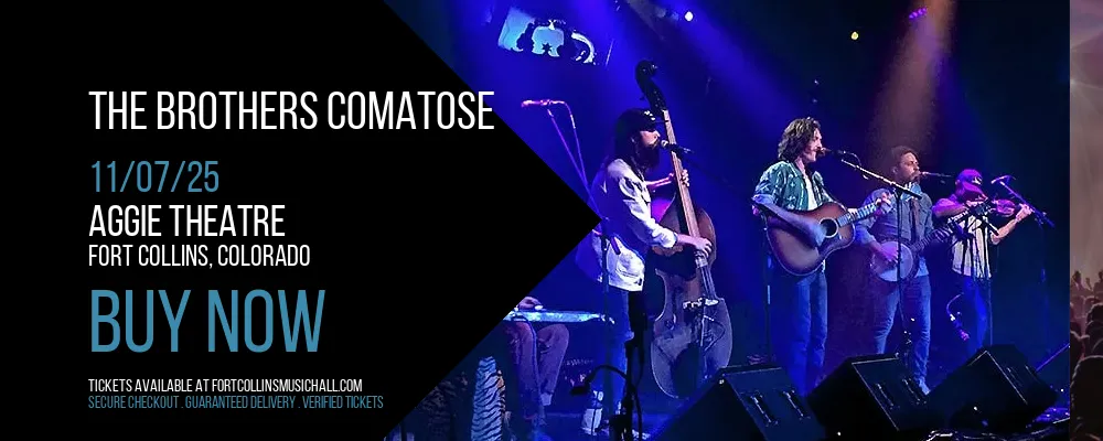 The Brothers Comatose at Aggie Theatre